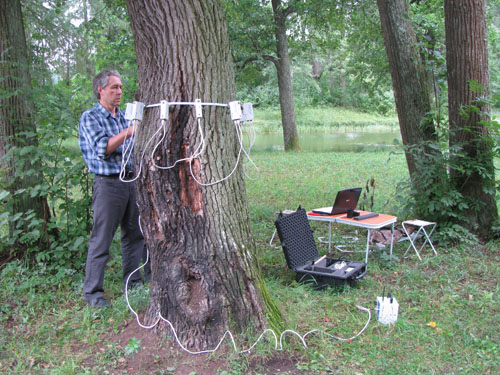 Томограф для дерева